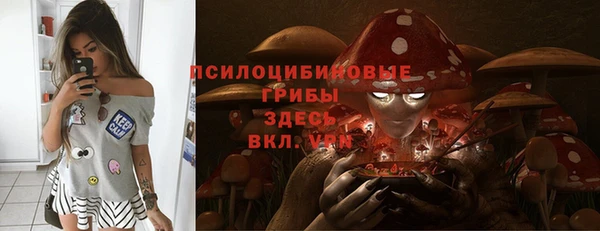 соль курить ск Горняк