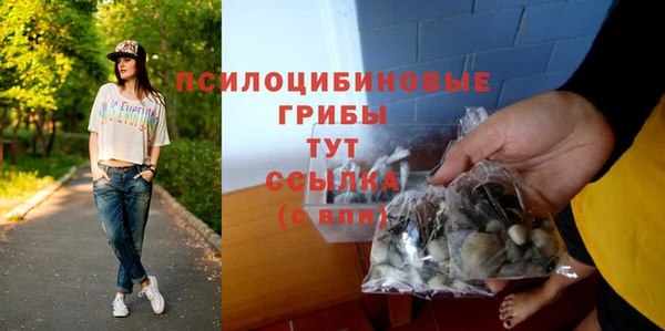 МДПВ Горнозаводск